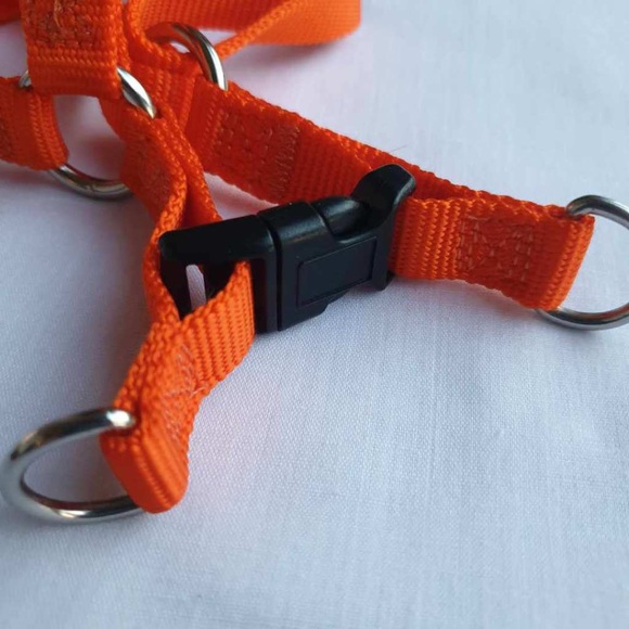Set of 2 Adjustable Step In Nylon Small Dog Breed Harness with Buckle Closure - Picture 15 of 16
